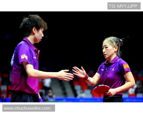 全运会回顾：杭州乒乓球队的技术优势与未来发展展望