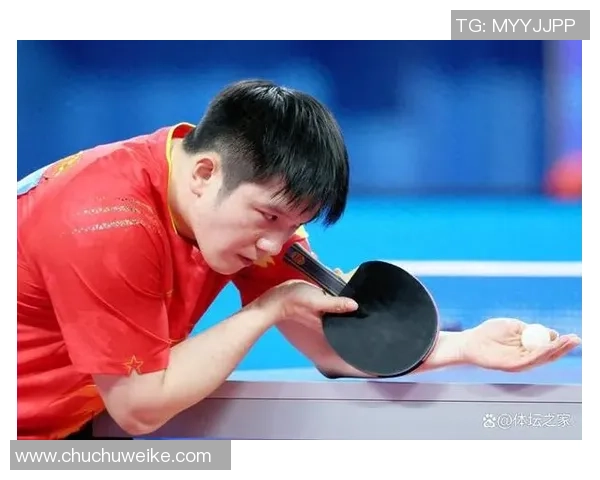 乒乓球力量榜单揭晓上海乒乓球队荣登第四名引发关注