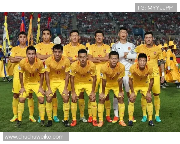 杭州足球队的奋进之路：从地方球队到世界杯预选赛的辉煌历程